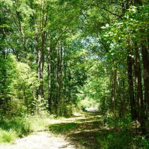 15 Acres Nottingham Rd Jonio 23