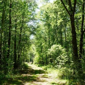 15 Acres Nottingham Rd Jonio 24