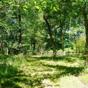 15 Acres Nottingham Rd Jonio 27