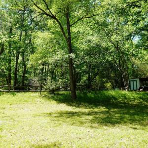 15 Acres Nottingham Rd Jonio 28