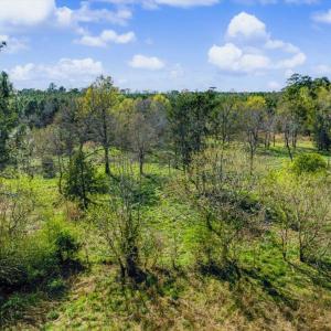 24-024-BrowerRd-Chatham-Parcels-13292-62