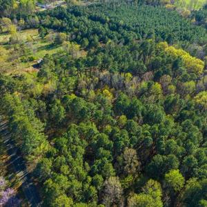 27-027-BrowerRd-Chatham-Parcels-13292-62