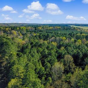 28-028-BrowerRd-Chatham-Parcels-13292-62