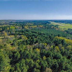 29-029-BrowerRd-Chatham-Parcels-13292-62