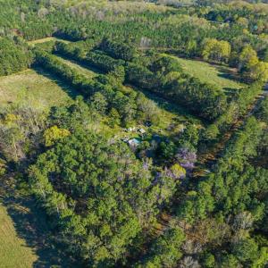 31-031-BrowerRd-Chatham-Parcels-13292-62