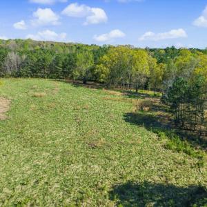 36-036-BrowerRd-Chatham-Parcels-13292-62