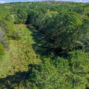 37-037-BrowerRd-Chatham-Parcels-13292-62