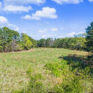 41-041-BrowerRd-Chatham-Parcels-13292-62