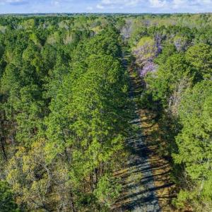 46-046-BrowerRd-Chatham-Parcels-13292-62