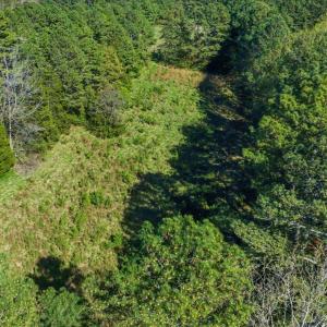 42-042-BrowerRd-Chatham-Parcels-13292-62