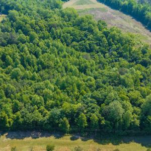 20-DJI_20260424223658