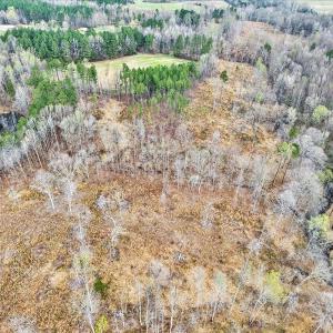 18-Original Bob Daniel Rd-6