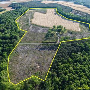 1170McneilHobbsOutlineJP