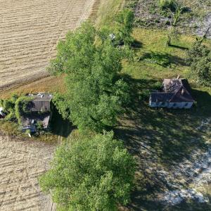 1170McneilHobbs(9)JP