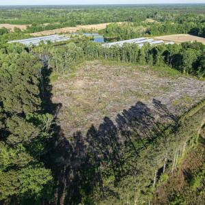 1170Mcneilhobbs(7)JP