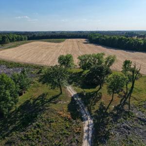 1170McneilHobbs(6)JP