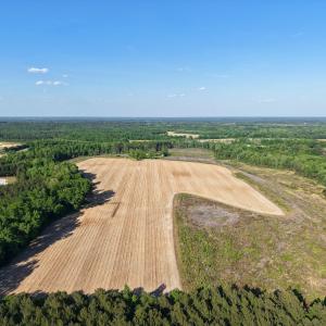 1170McneilHobbs(4)JP