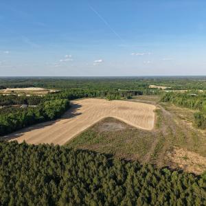 1170Mcneilhobbs(2)JP