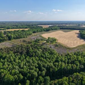 1170McneilHobbs(5)JP