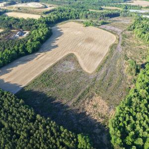 1170Mcneilhobbs(3)JP