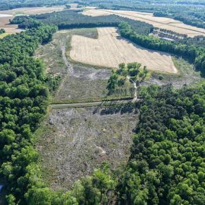 1170Mcneilhobbs(1)JP