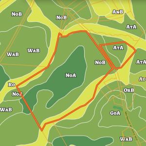 1170 McNeill Hobbs-Soils
