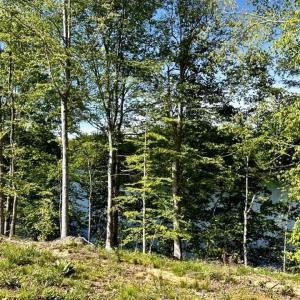 682973159_3398087997035534_5672074196802