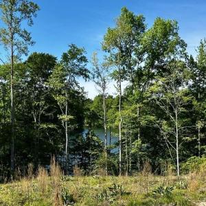 679379951_3398088057035528_5225301988001