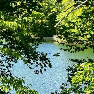 683751593_3398087917035542_2095230084492