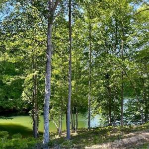 679853187_3398087857035548_5798371634489