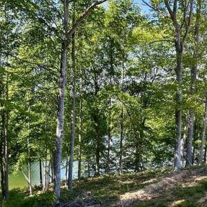 681314887_3398087820368885_5086742298711