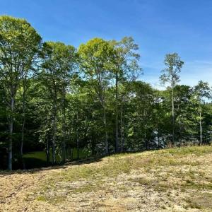 684219324_3398087790368888_2249137539542