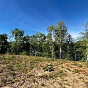 683400886_3398088030368864_7011470450429