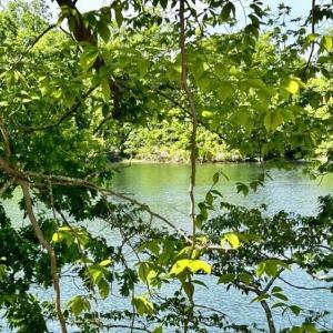 682356481_3398087950368872_1185613780971