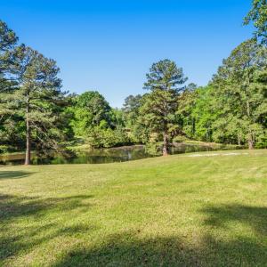 Pond View from house