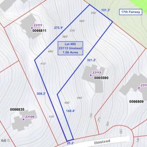 Lot #85 - 23113 Umstead – GIS Map