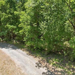 1-web-or-mls-0 Lakestone Estate Dr-4