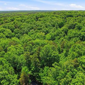 2-web-or-mls-0 Lakestone Estate Dr-14