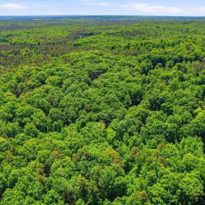 3-web-or-mls-0 Lakestone Estate Dr-24