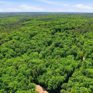 4-web-or-mls-0 Lakestone Estate Dr-39