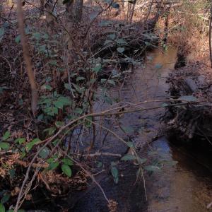 03_beyc69f11c813b1a9