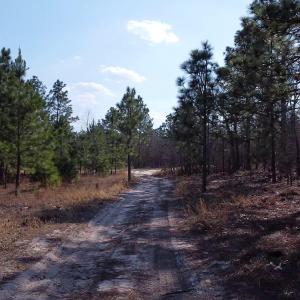 04_beyc69f11c8e3579f