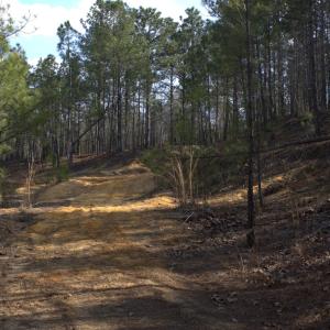 08_beyc69f11c9cc51f5