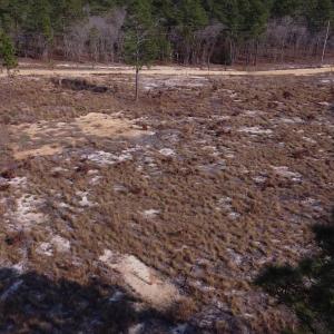 12_beyc69f11cb607417