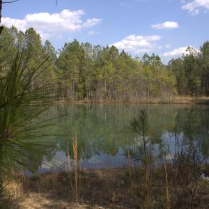 14_beyc69f11cc6244e7