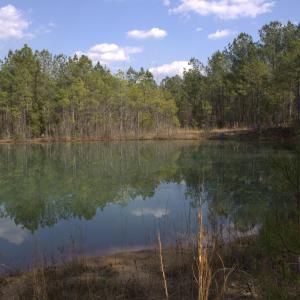 16_beyc69f11cce8572f