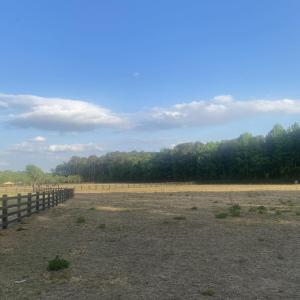 Pic7
