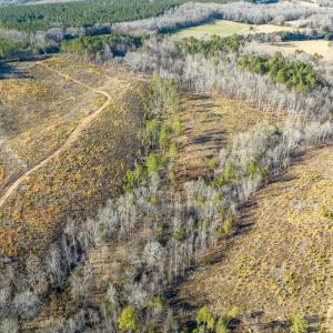 08-008-Chatham-Parcel-8664-Tract3-202501