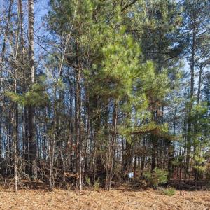 11-011-Chatham-Parcel-8664-Tract3-202501