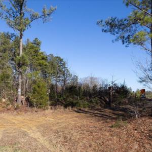 13-013-Chatham-Parcel-8664-Tract3-202501